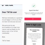 Facebook page monetization